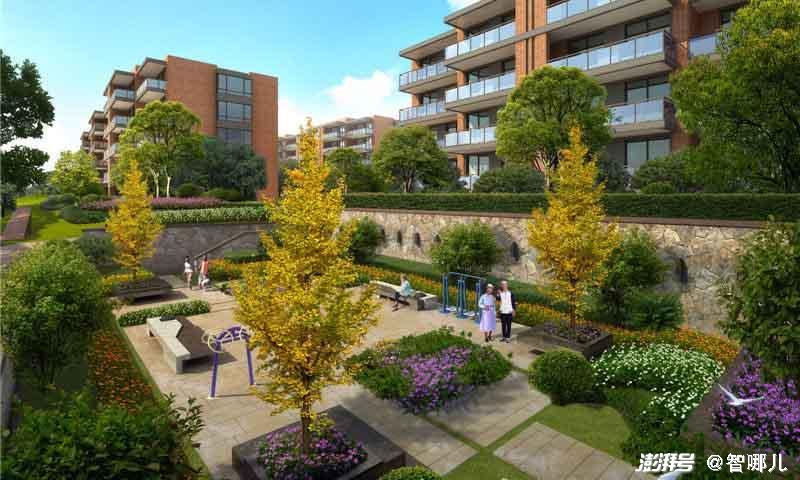 智慧養(yǎng)老怎么“養(yǎng)”？不要讓科技成為老年群體的束縛(圖2)